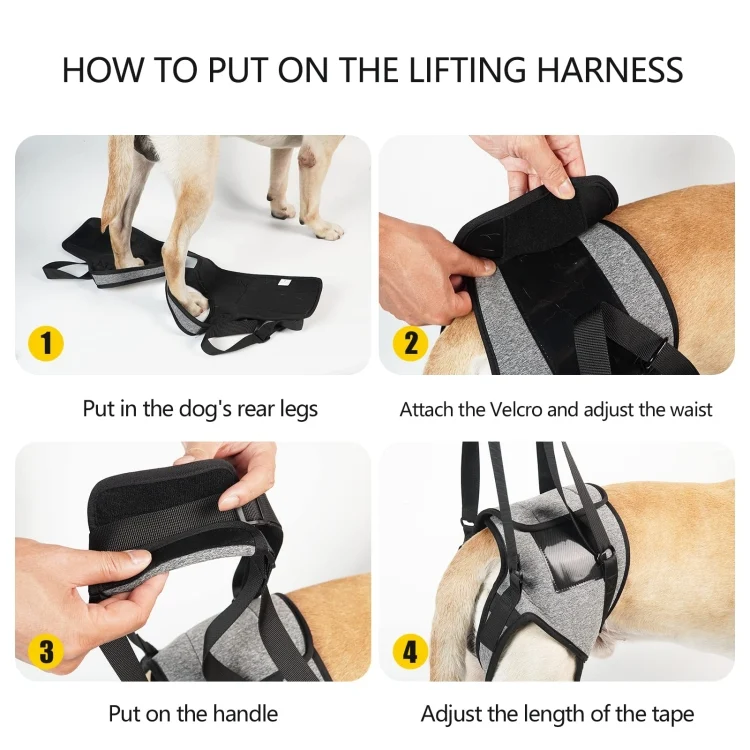 TBD0603514203_B6.webp Dog Hind Leg Auxiliary Strap Decompression Auxiliary Travel Belt For Elderly and Injured Dog - Image 7