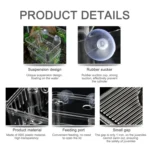 Peacock Fish Double Layer Transparent Breeding Isolation Box Aquarium Breeding Box - Image 4