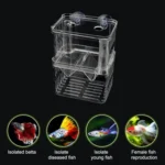Peacock Fish Double Layer Transparent Breeding Isolation Box Aquarium Breeding Box - Image 6