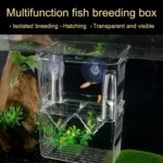 Peacock Fish Double Layer Transparent Breeding Isolation Box Aquarium Breeding Box - Image 7