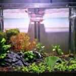 Flocked Caple Box Turtle Hiding Nest Moss Cave Turtle Cave Sunbed - Image 5