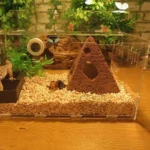 Fish Tank Aquascape Hiding House Resin Pyramid Shrimp House Hiding Cave - Image 7