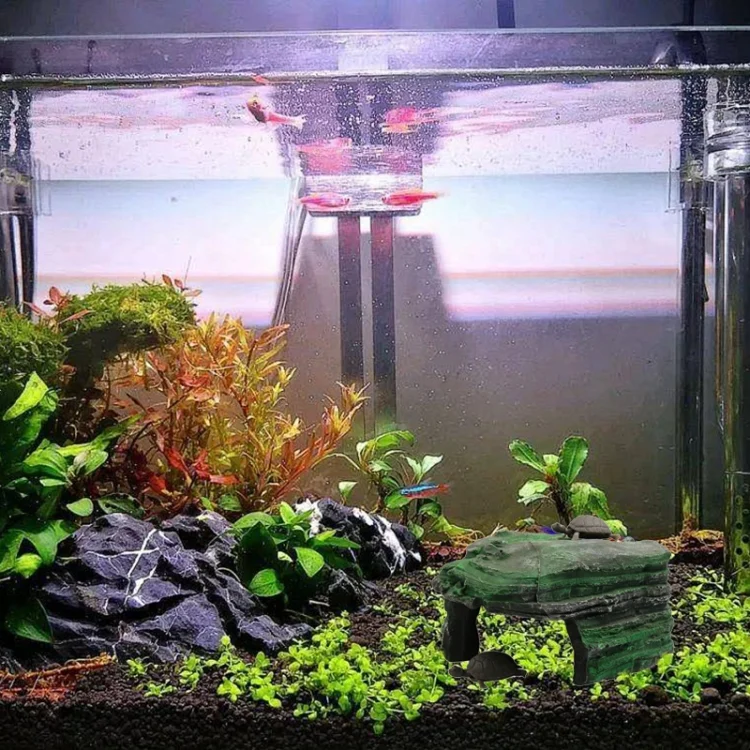 TBD0603557501_3.webp Resin Turtle Sunbed Climbing Table Stump Hideaway House Sunback Table - Image 5