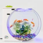USB Jellyfish Fish Tank Multifunctional Electronic Mini Jellyfish Box - Image 2