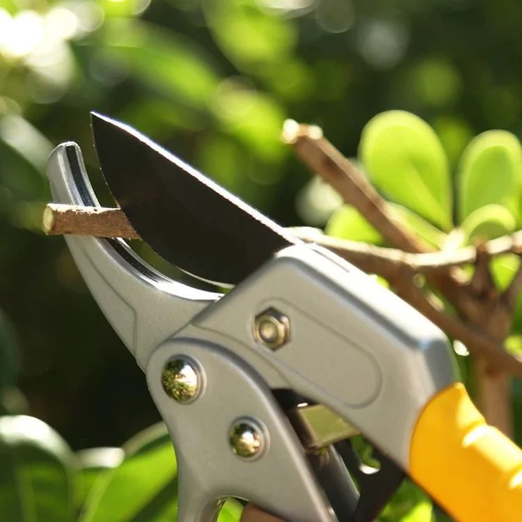 TBD06036313_7.webp Pruning Shears Clippers for Gardening Tree Plant Floral Trimming - Image 8