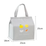 Square Fruit Large Capacity Picnic Insulation Bag Waterproof Bento Bag - Image 2