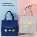 Square Fruit Large Capacity Picnic Insulation Bag Waterproof Bento Bag - Image 7