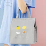 Square Fruit Large Capacity Picnic Insulation Bag Waterproof Bento Bag - Image 8