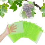 100pcs /Pack Fruit Protection Bag Anti-Insect And Anti-Bird Net Bag - Image 2