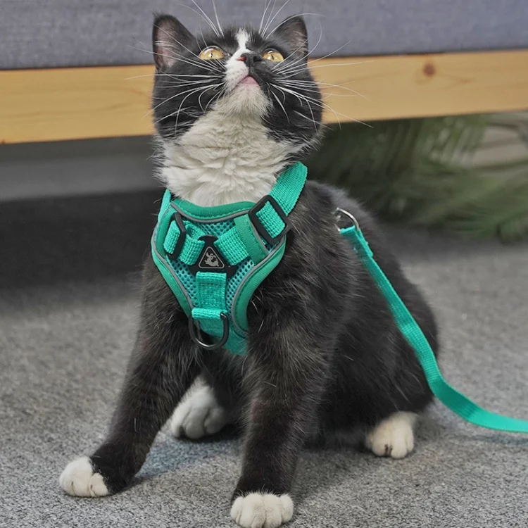 TBD06037462_B7.webp Pet Vest Harness + Traction Rope Set Reflective Breathable Dog Cat Harness - Image 8