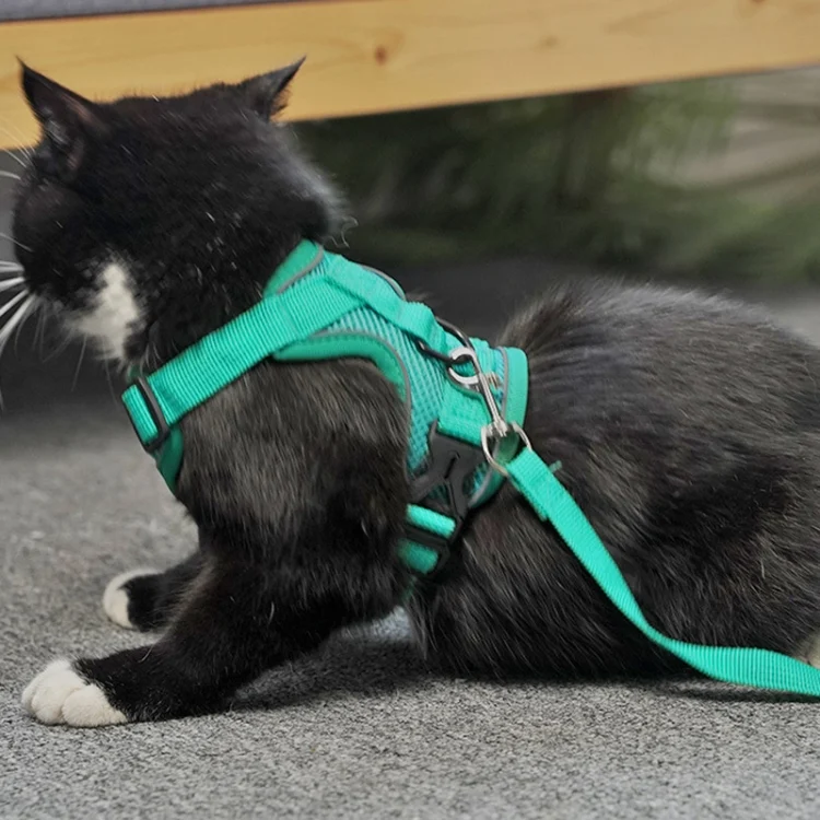 TBD06037462_B8.webp Pet Vest Harness + Traction Rope Set Reflective Breathable Dog Cat Harness - Image 9