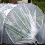 Transparent Plant Antifreeze Film Waterproof Cover Window Sealing Film Greenhouse PE Film - Image 4
