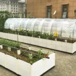 Transparent Plant Antifreeze Film Waterproof Cover Window Sealing Film Greenhouse PE Film - Image 7