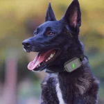 Smart Waterproof Electric Shock Dog Trainer Rechargeable Remote Bark Stopper - Image 11
