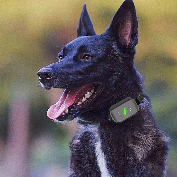 TBD06039471_B10.webp Smart Waterproof Electric Shock Dog Trainer Rechargeable Remote Bark Stopper - Image 11