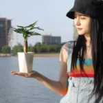 Diamond-shaped Automatic Water-absorbing Lazy Flower Pot Green Plant Plastic Pot - Image 6