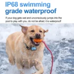 GPS Wireless Wifi Pet Location Chasing Cat Dog Collar Anti-loss Locator - Image 5