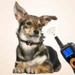 Smart Electronic Remote Control Dog Training Device Waterproof Pets Bark Stopper - Image 2