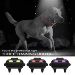 Smart Electronic Remote Control Dog Training Device Waterproof Pets Bark Stopper - Image 7