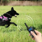 Pet Smart Electric Shock Training Waterproof Collar Dog Training Device - Image 2