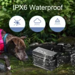 Pet Smart Electric Shock Training Waterproof Collar Dog Training Device - Image 5