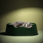 Open Litter Pan Large Capacity Plastic Pet Kennel - Image 9