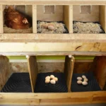 Washable Nesting Pads Chicken Nesting Boxes Chicken Bed For Laying Eggs - Image 7