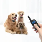 Dog Training Device Automatic Bark Stopper Dog Training Electronic Collar - Image 2