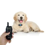 Intelligent Electronic Remote Control Dog Training Device Pet Training Shock Collar Bark Stopper - Image 2