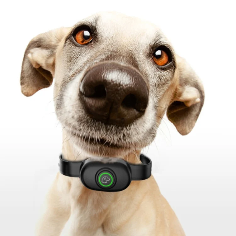 TBD06040933_B9.webp Auto Stop Barker Pet Shock Collar Dog Trainer - Image 10