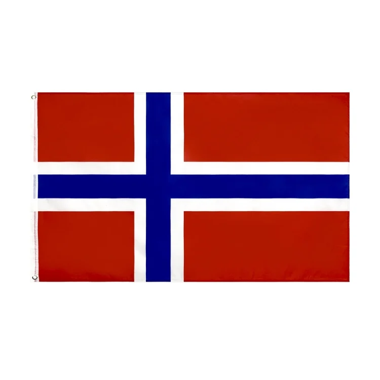 TBD06041066.webp 90 x 150cm Norway Flag No. 4 Polyester Flag - Image 1