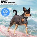 Smart Remote Control Dog Trainer Stop Barker Waterproof Vibration Collar - Image 9