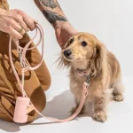 Pet Poop Bag Dispenser Dog Toilet Bowl Dispenser For Waste Bags - Image 5