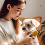 Shaver Hair Clipper Pet Electrical Pusher Grooming Machine - Image 7