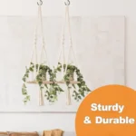 75pcs /Box Screw-in Ceiling Hook Set Home Storage Wall Cup Hook Lamp Hook - Image 5