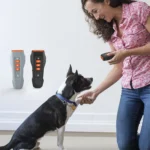 LED Flashing Light Handheld Ultrasonic Bark Arrester Frequency Conversion Dog Training Device - Image 11