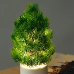Christmas Tree Night Lights Bedroom Pine Ambient Lamps Home Decorative Lights - Image 5
