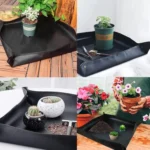 Succulent Plant Gardening Tools Set Indoor Growing Removal Pots Horticultural Kits - Image 2