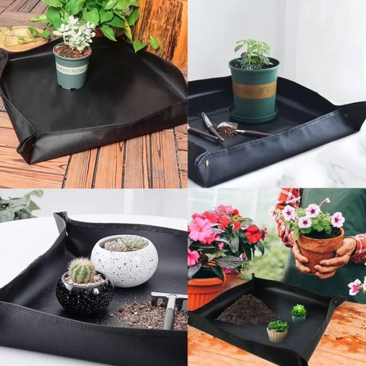 TBD06043060_B1.webp Succulent Plant Gardening Tools Set Indoor Growing Removal Pots Horticultural Kits - Image 2