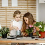 Succulent Plant Gardening Tools Set Indoor Growing Removal Pots Horticultural Kits - Image 3