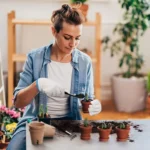 Succulent Plant Gardening Tools Set Indoor Growing Removal Pots Horticultural Kits - Image 4