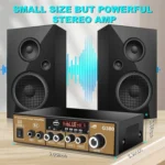 Car High-power Bluetooth Plug-in Card Digital Smart Amplifier - Image 5