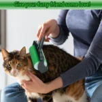 Reusable Pet Hair Remover Cleaning Hair Sticky Roller Washable Lint Remover Clothes Dust Cleaner - Image 2