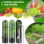 Herb Crisper Vegetable Keep Fresh Container Cilantro Herb Storage Container - Image 2
