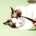Pet Eye Cleaning Tear Stain Brush Eye Makeup Brush For Dogs And Cats - Image 8