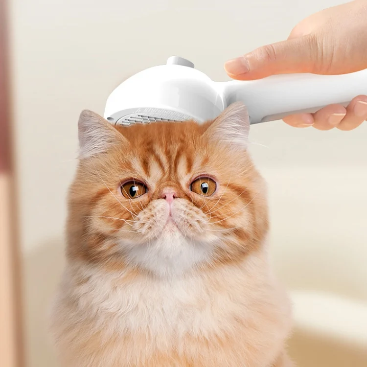 TBD06044110_B8.webp RK56 USB Charging Spray Pet Grooming Comb Cat and Dog Hair Removal Tool Pet Products - Image 9