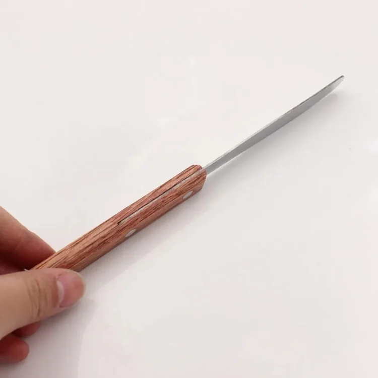 TBD06044189_4.webp Wooden Handle Dental Mixing Spatula Modeling Mixing Carver - Image 5