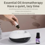 SD13 200ML Car USB Flame Aromatherapy Diffuser Home LED Night Light Silent Mist Humidifier - Image 5
