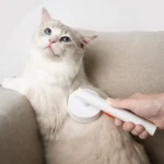 Pets Knotting And Thinning Needle Comb Cats And Dogs De-Fluffing Comb - Image 11