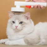 Pets Knotting And Thinning Needle Comb Cats And Dogs De-Fluffing Comb - Image 10
